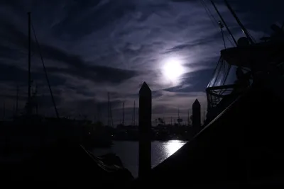 DSC_0888 (Large).JPG